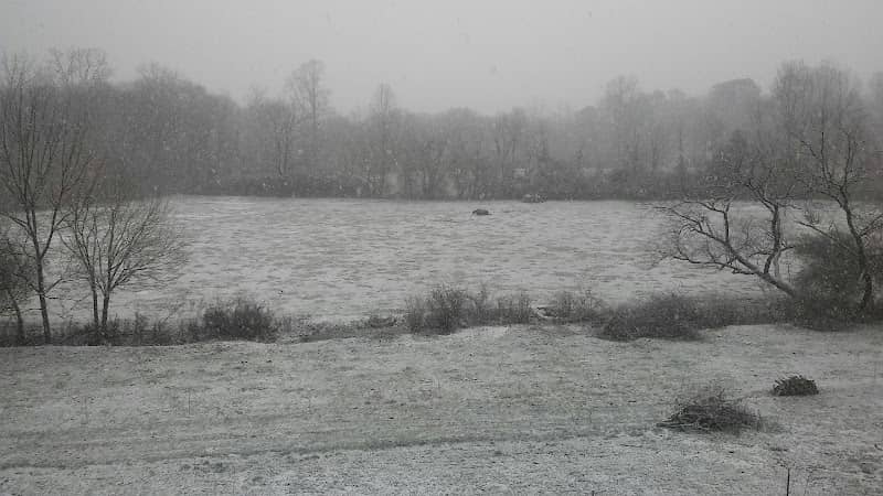 Warne - Image 1