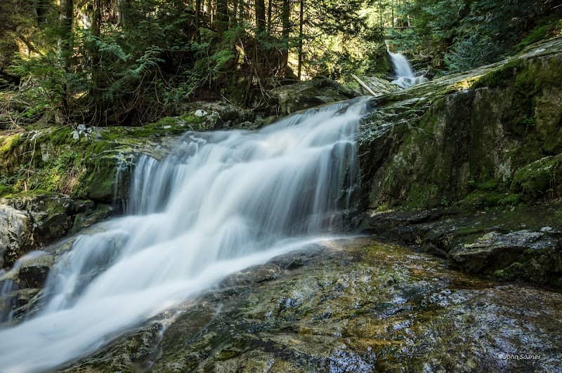 Woodland Falls - Image 1