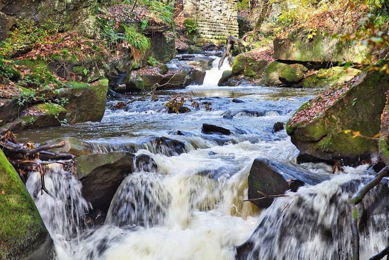 Healey Dell Nature Reserve - Image 2