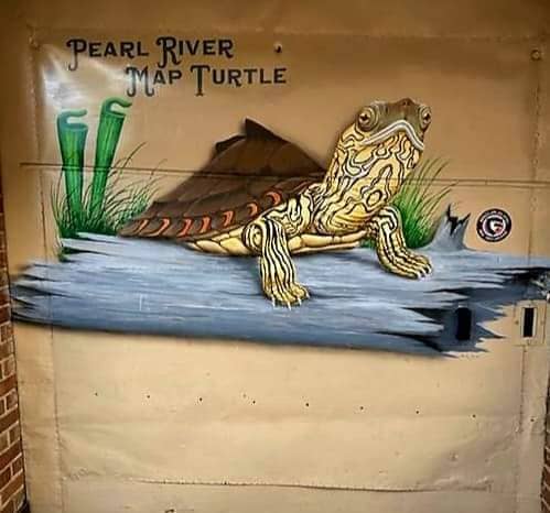 Thigpen Alley Map Turtle - Image 1