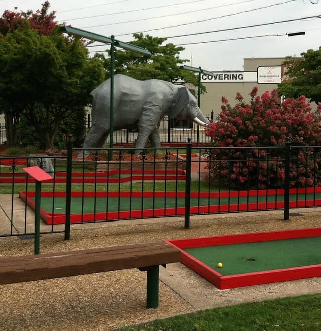 Adventure Landing Winston-Salem - Image 2