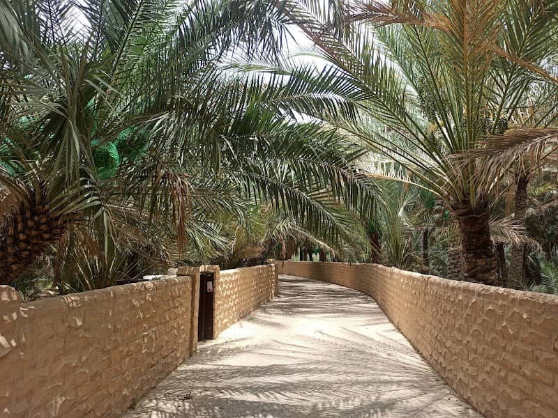 Hili Oasis - Image 1