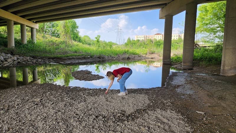 Prairie Creek Marsh - Image 1