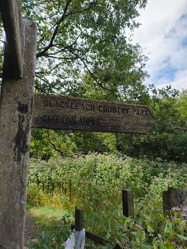 Kearsley Moss - Image 1