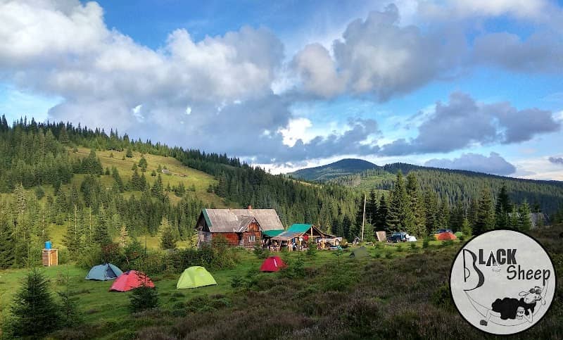 Black Sheep Camp - Image 2
