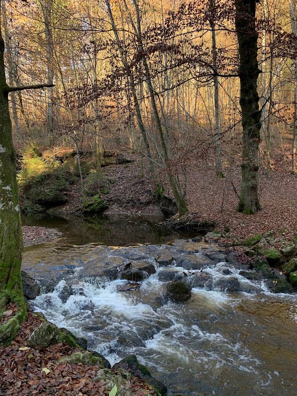 Maisinger Schlucht - Image 1