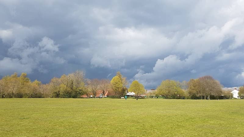 Tayne Field - Image 2
