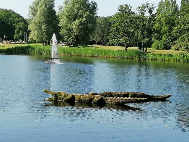 Springbrunnen im Bootsteich - Image 1
