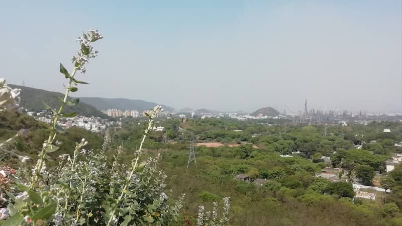 City view point - Image 1