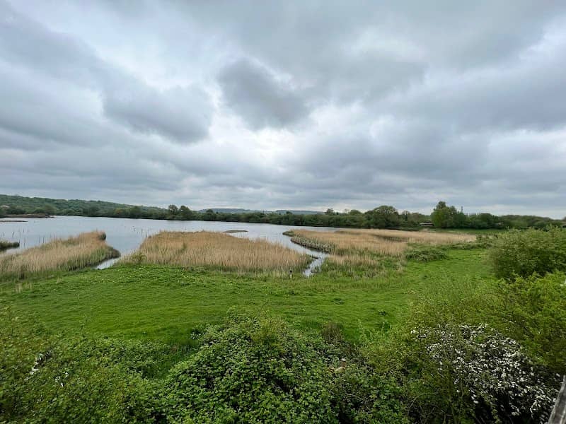 Tower Hide - Image 1