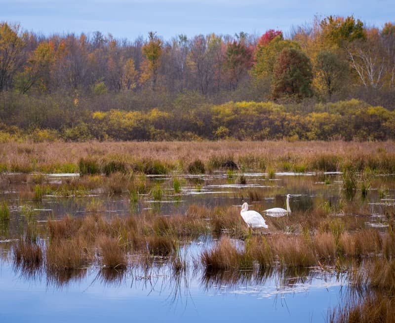 George W. Mead State Wildlife Area - Image 2