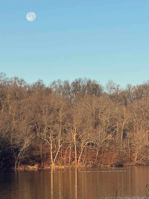 Wyandotte County Lake Park Shelter 4 - Image 1