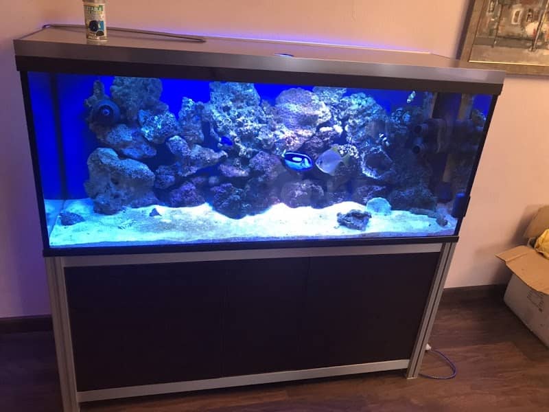 Aquarium Geeks LA - Image 1