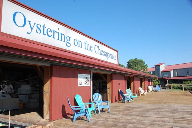Oystering on the Chesapeake, CBMM - Image 1