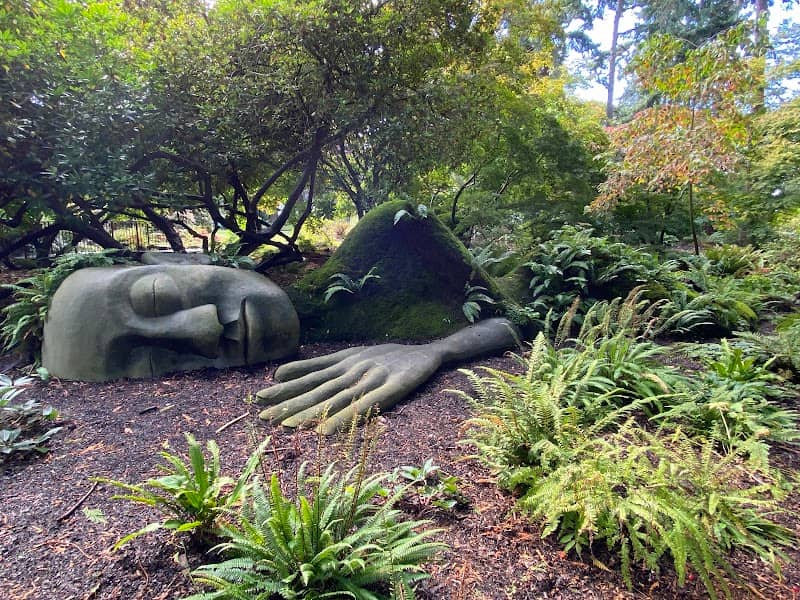 The Moss Lady - Image 1