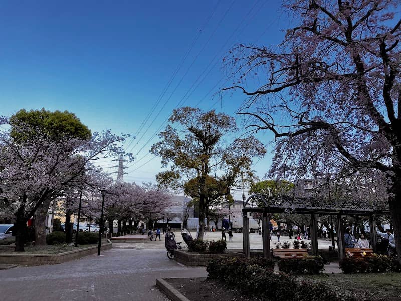 Ukita Sakura Park - Image 1