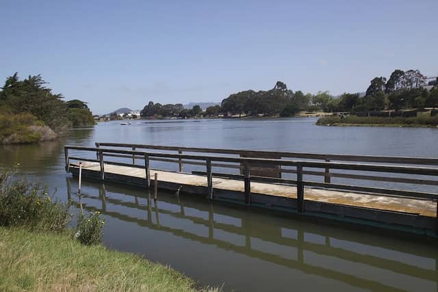 View of the Pond - Image 1