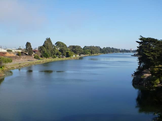 View of the Pond - Image 2