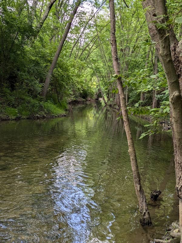 Kankakee Forest Preserve - Gar Creek Trails - Image 1
