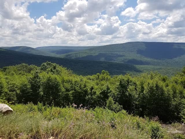 Thickhead Mountain Wild Area - Image 1