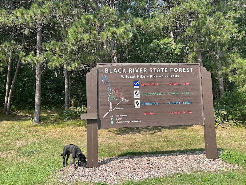 Red Oak, Norway Pine, Wildcat Loop Trailhead - Image 2