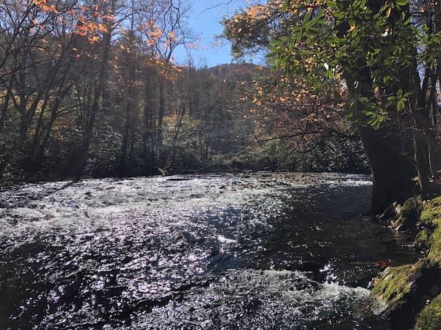 Cataloochee Valley - Image 1