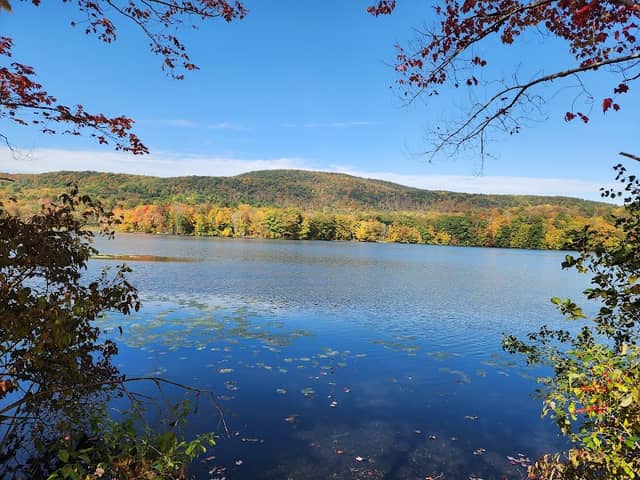Ashuwillticook Rail Trail - Image 1