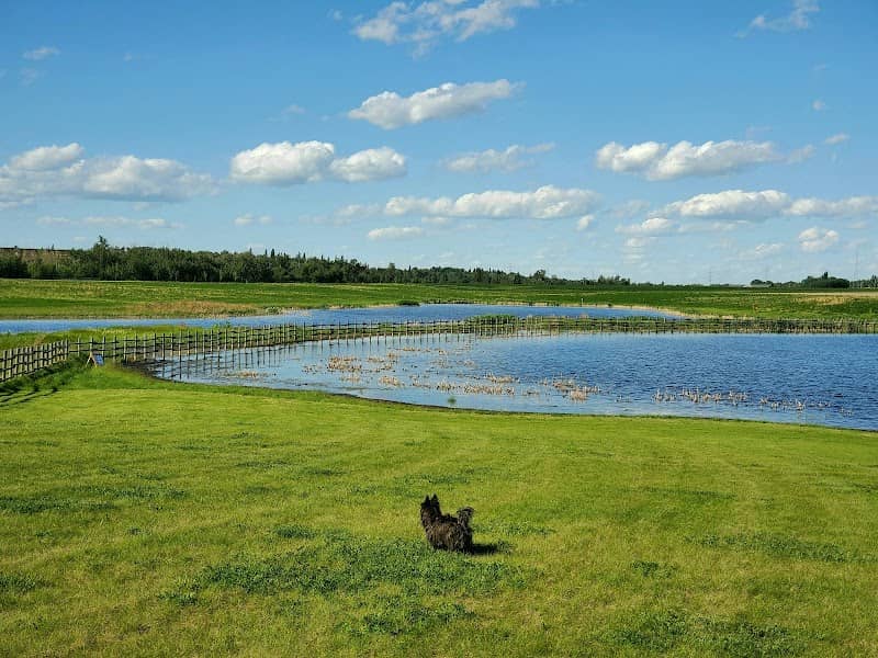 West River's Edge Dog Park - Image 1