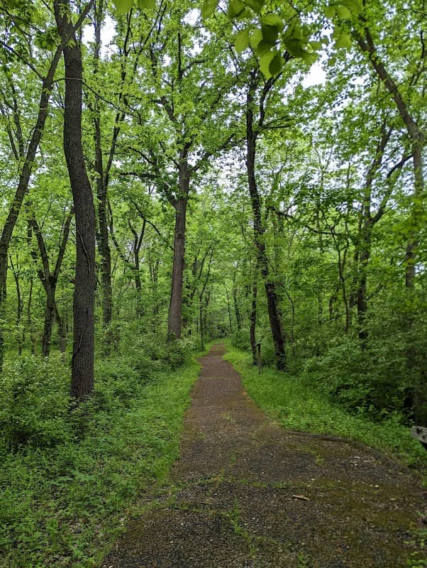 Martha Lafite Thompson Nature Sanctuary - Image 2
