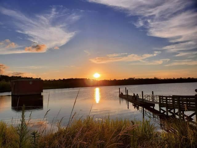 Bushy Park Boat Landing - Image 2