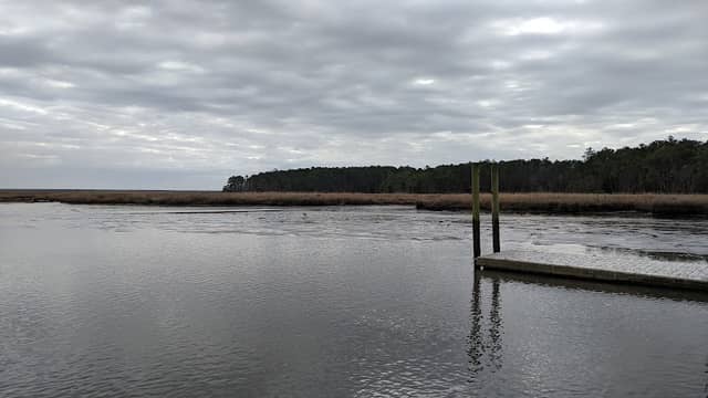 Bushy Park Boat Landing - Image 1