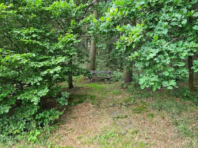 Schutzhütte Flügelweg - Image 2