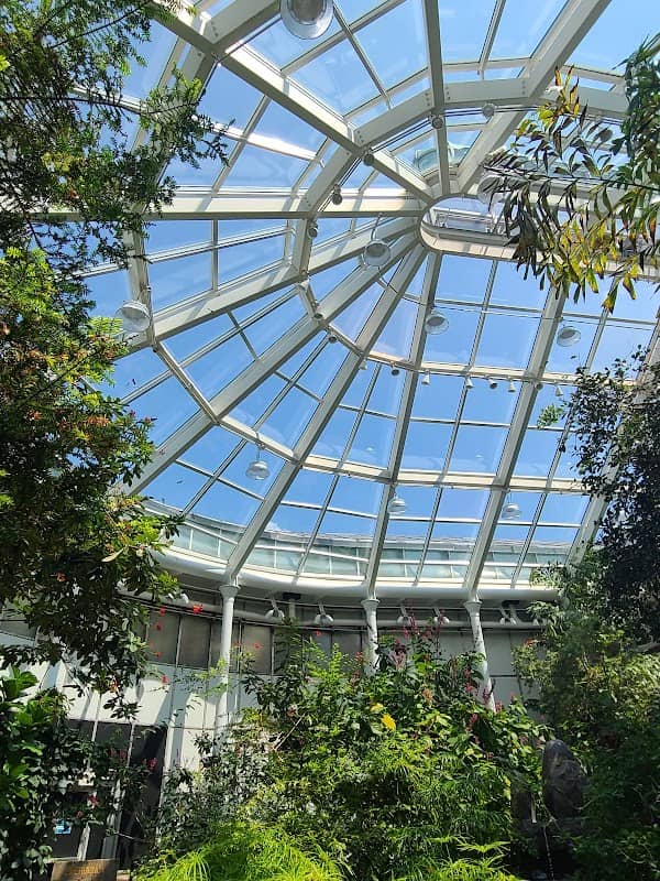 Detroit Zoo Butterfly Garden - Image 2