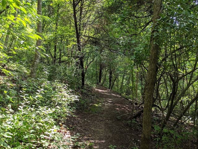 Mid County Park Trail - Image 2