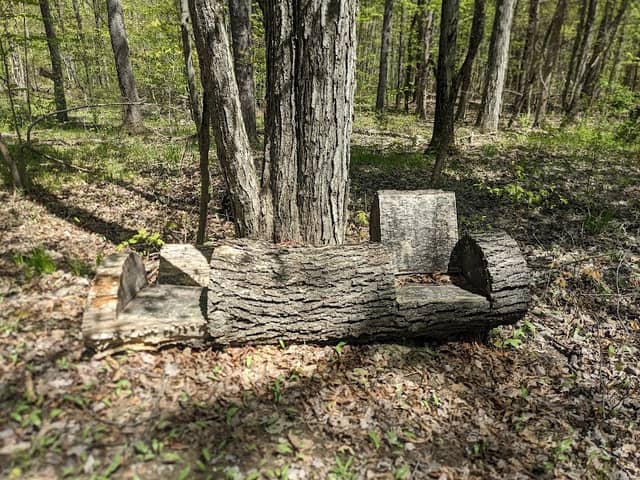 Eldridge Wilderness Preserve - Image 2