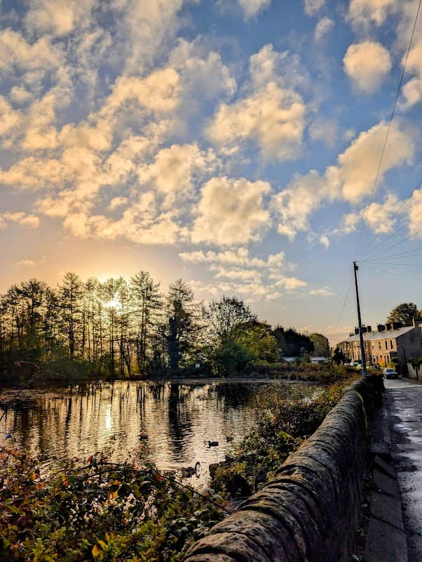 Springwood Street Mill Pond - Image 1