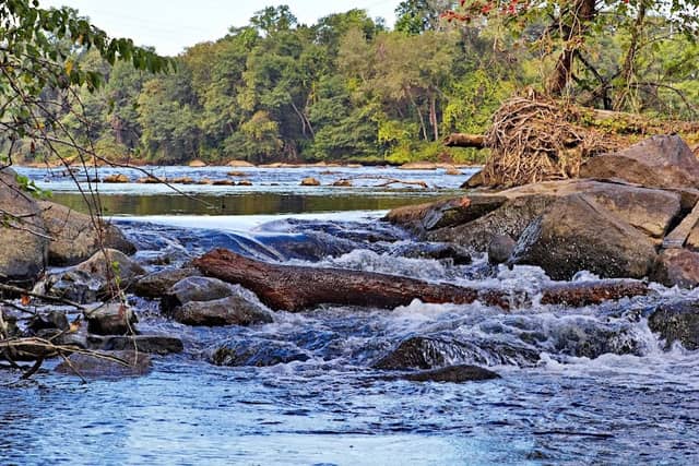 Catawba Bend Preserve - Image 3