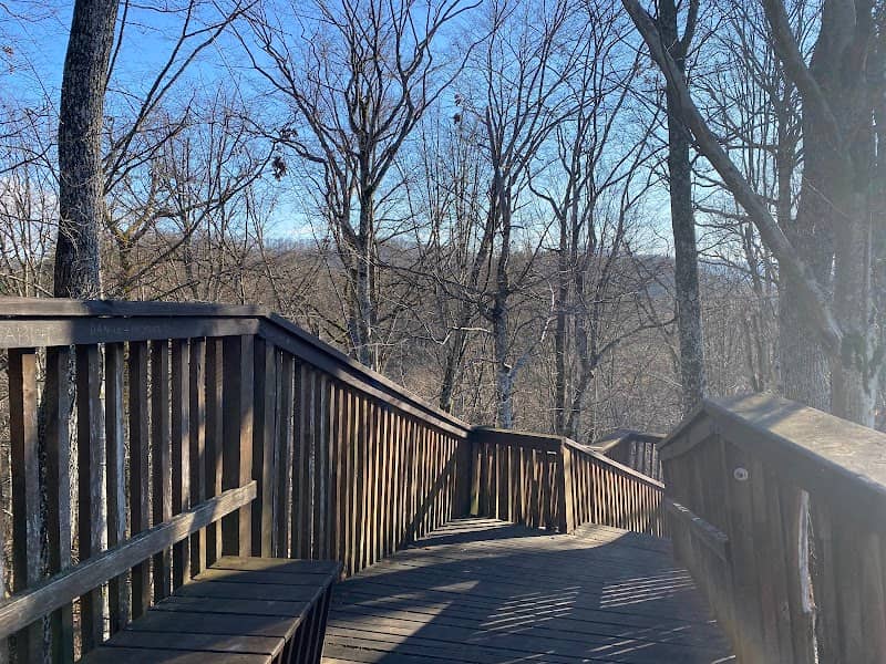 Forest viewpoint - Image 1