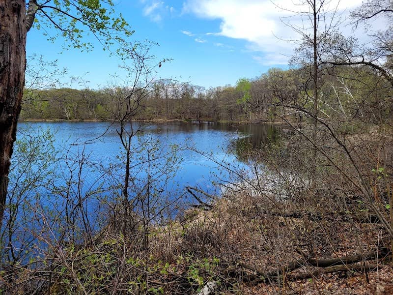 Jensen Lake Trailhead - Image 2
