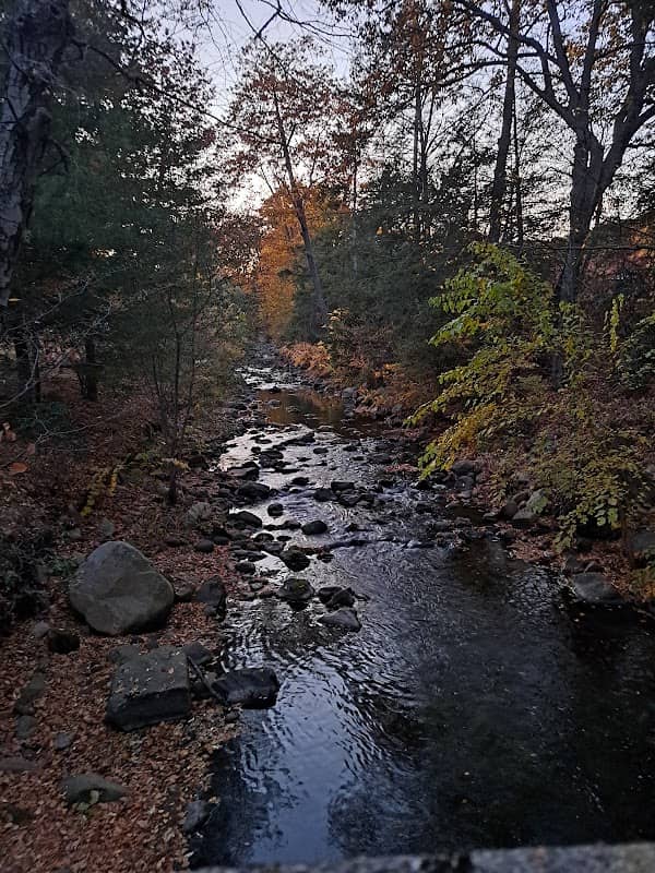 Pond At Rockwell Park - Image 1