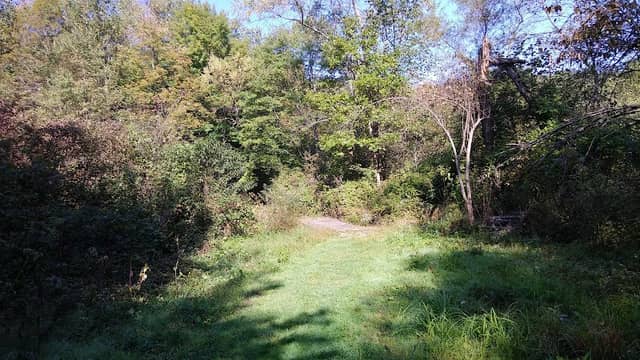 Wyggeston Trail - Image 2