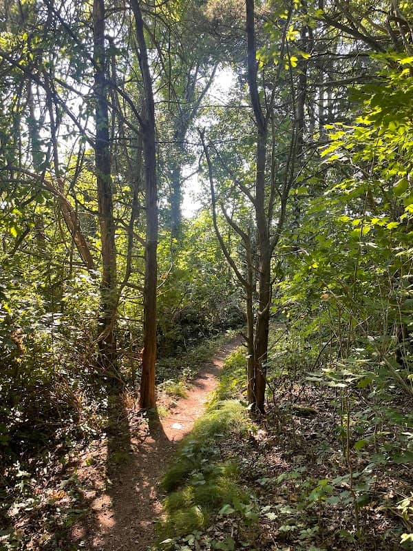 Guida Farm Conservation Area - Image 2