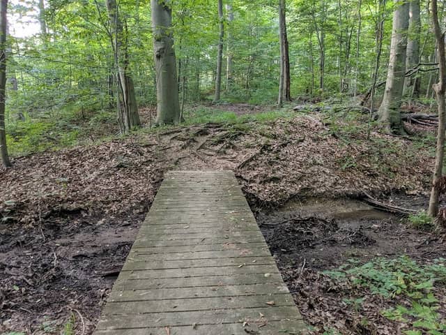 Center Valley Park - Image 1