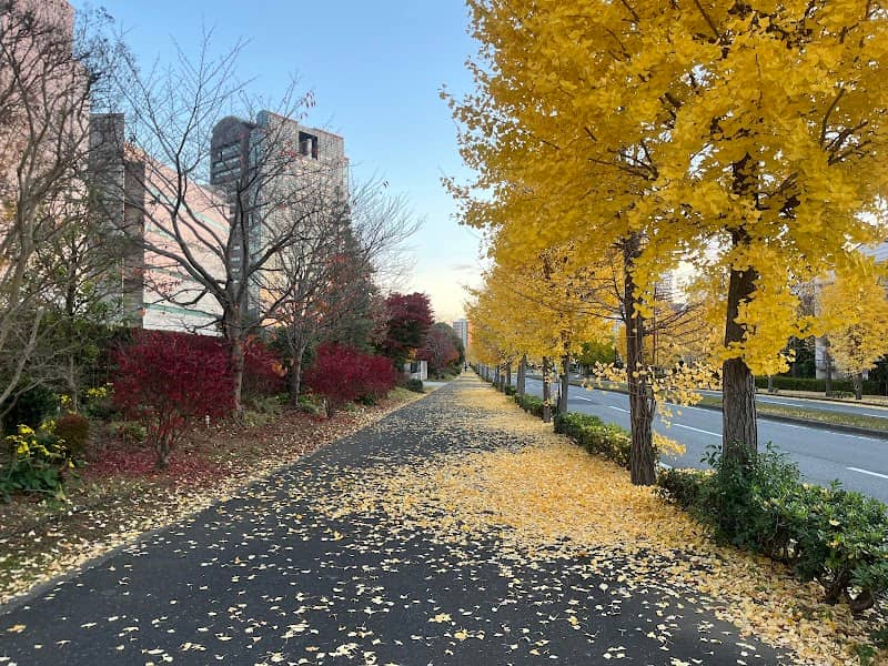 イチョウ通り - Image 1