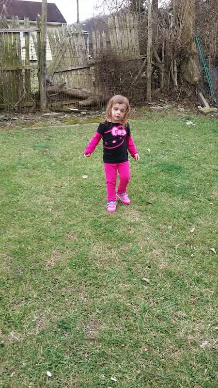 Peaselburg Little Peoples Playground - Image 1
