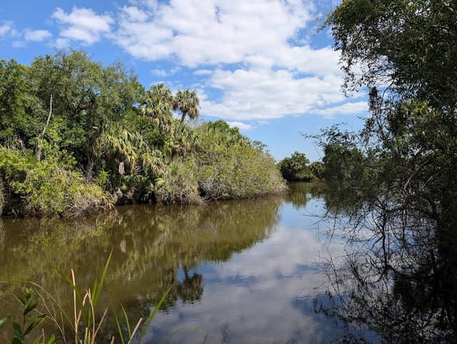 Sweetwater Hammock Preserve - Image 2