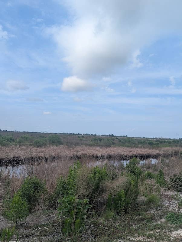 Tupelo Trail - Image 2