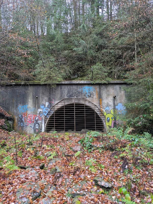 Winterberger Tunnel II - Image 1