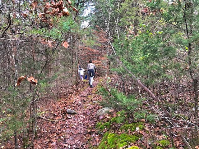 Jim Beam Nature Preserve - Image 2