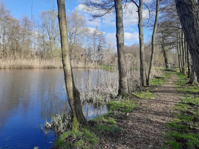 Mühlenteich - Image 1